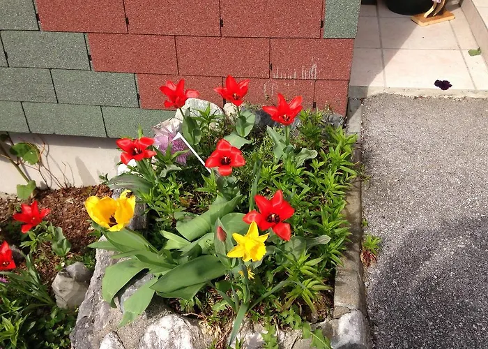 宾馆 兰德霍斯博格泽特酒店